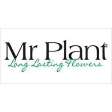 Mr Plant